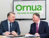 Ornua Appoints Chief Executive Designate
