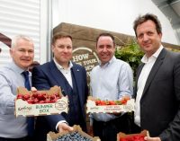 Center Parcs Serves Up €5.2 Million in Contracts to Irish Food Companies