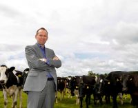 Third Year of Consistent Growth For Dale Farm