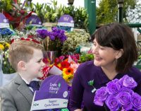 Malone Group is Cystic Fibrosis Ireland’s 65 Roses Day Media Sponsor For Fourth Year Running
