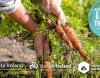 Brand New Campaign Showcasing Ireland’s Food and Drink Starts